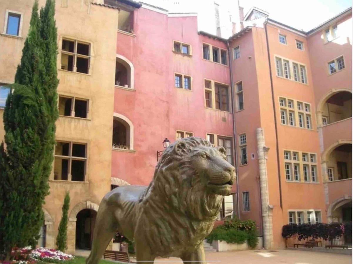Beau Duplex Avec Jardin Et Vue Apartamento Lyon Exterior foto
